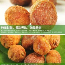 新疆轮台吊干杏