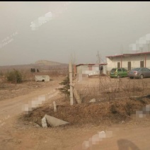 临沂罗庄区120亩山地转让12年价格面议
