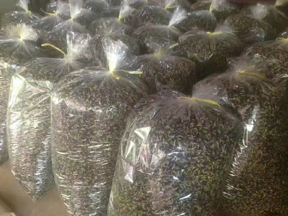 皇家雏菊干花与衍生品展示图