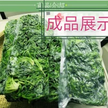 荠菜