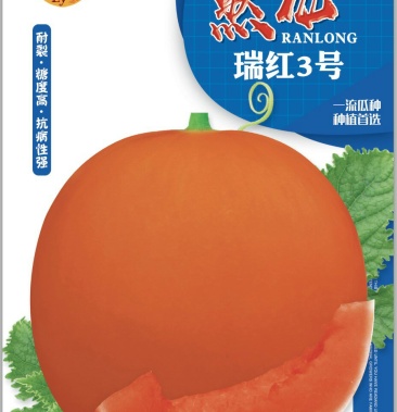 瑞红3号哈密瓜种子正圆形红皮红肉200粒袋