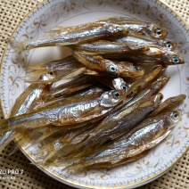 洞庭湖淡水翘嘴白