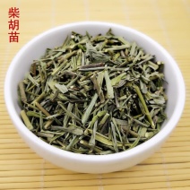 柴胡苗原产地内蒙