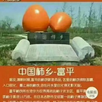 富平庄里王庄大队三庄村柿饼