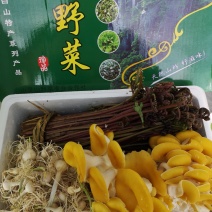 山野菜礼盒