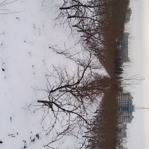雪后农场