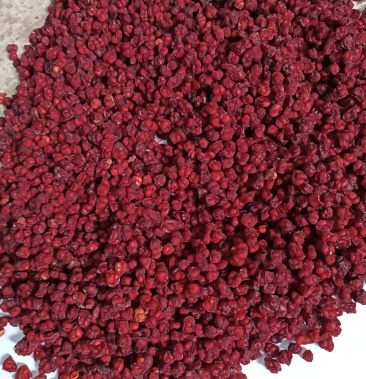 东北纯野生五味子别名山花椒北五味籽油籽