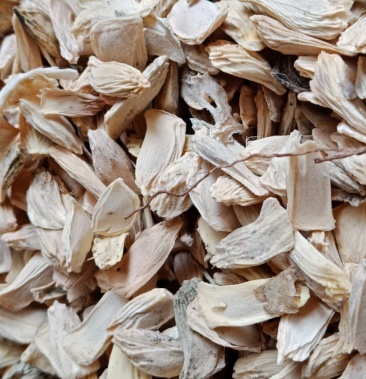 柚子种子 酸柚种子 土柚种子 嫁接柚子苗种子 香泡种子