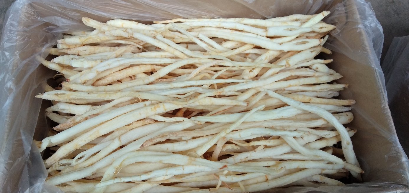 中药材饮片对比图