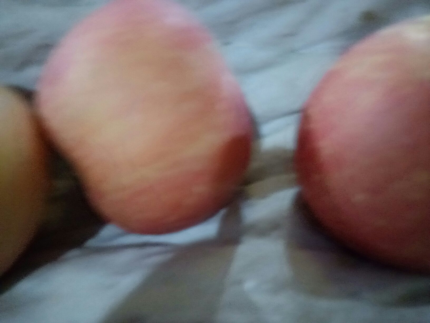 国光苹果特写图