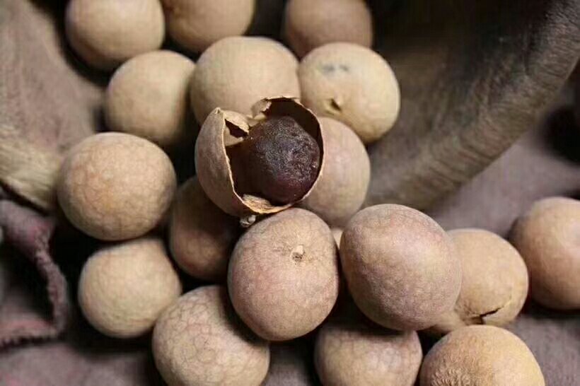 桂圆干与新鲜龙眼对比图