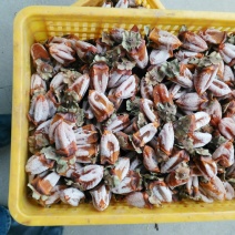 柿饼