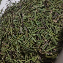 勾藤改良品种现货秒发包运输