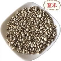 贵州薏米1公斤包邮
