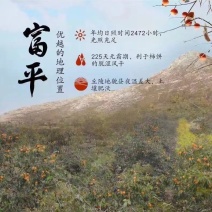 正宗富平柿饼拒绝假冒伪劣礼盒装一件代发
