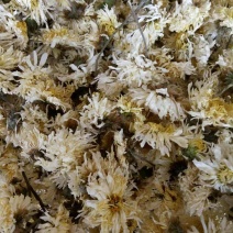 电烘干的菊花