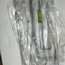 刀鱼
