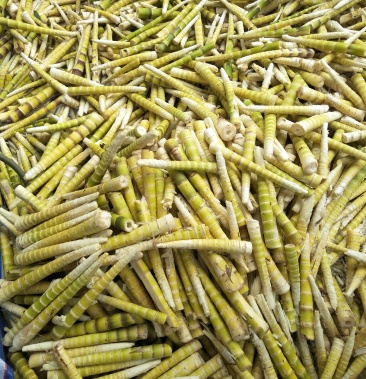 [竹笋批发]四川省雨城区建豪种植专业合作社常年出售各种鲜笋.价格5.