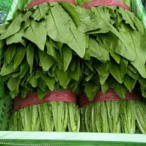 油麦菜
