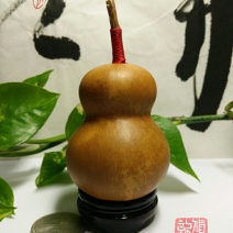 新货廊文玩葫芦种子超市，在售品种150余种，支持淘宝和微