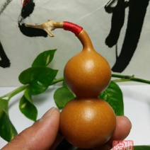 新货廊文玩葫芦种子超市，在售品种150余种，支持淘宝和微