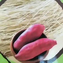 刘井纯红薯粉丝