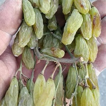 香妃