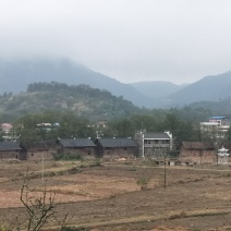 土地和釆摘园招合作人