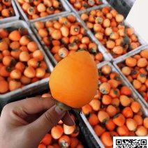 2018新鲜陕西特产富平特级柿饼