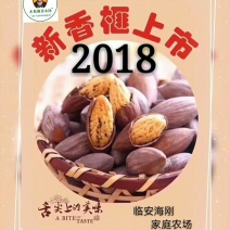 临安特产坚果干果香榧榧子山核桃