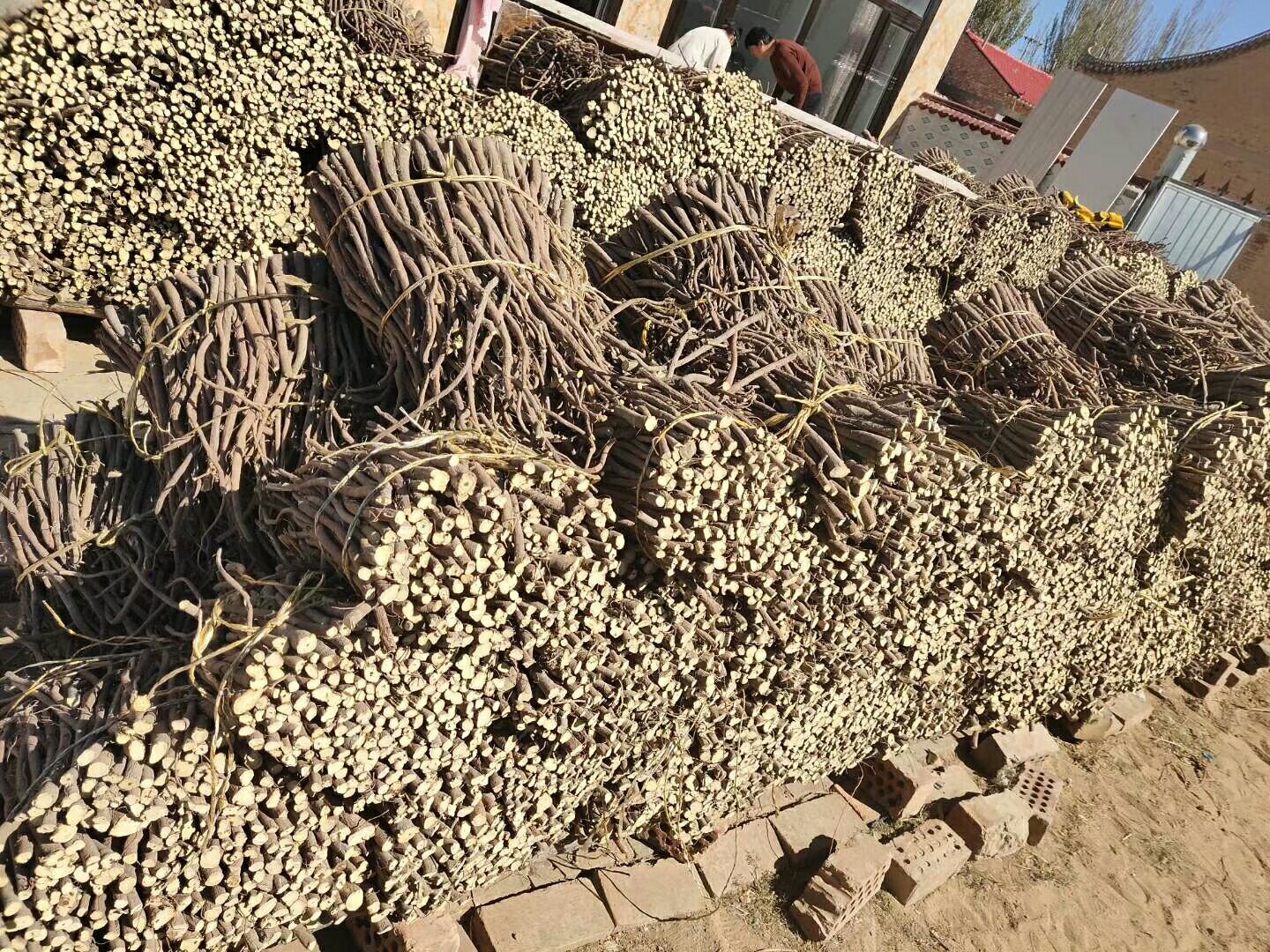 陈皮川贝甘草煮水的药材组合