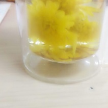 黄菊茶