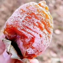农家柿饼包邮