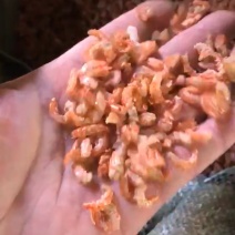 海虾干