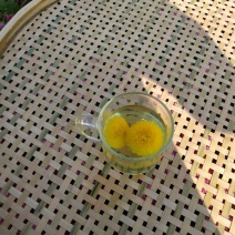 散装菊花茶