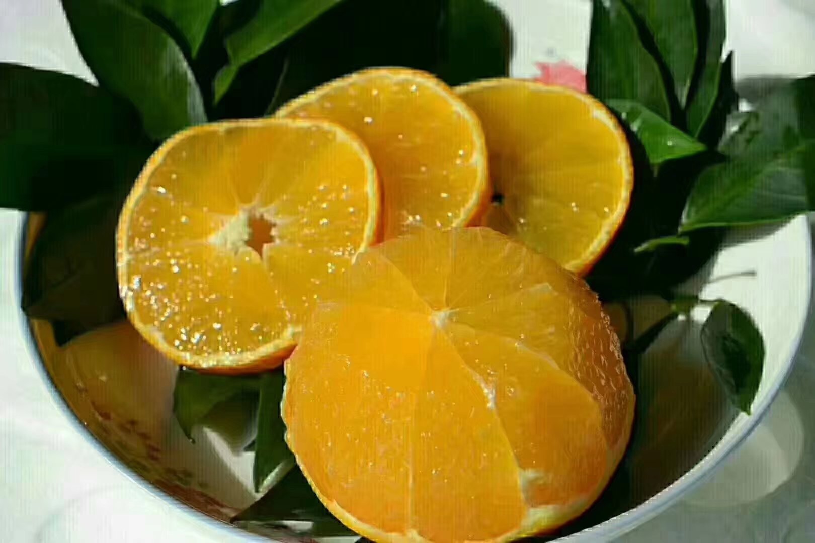 金黄色的金堂脐橙横切面,果肉饱满多汁,清晰可见的果粒结构和中心脐部特征,背景为木质餐桌,体现自然健康的食材质感 金堂脐橙切面特写