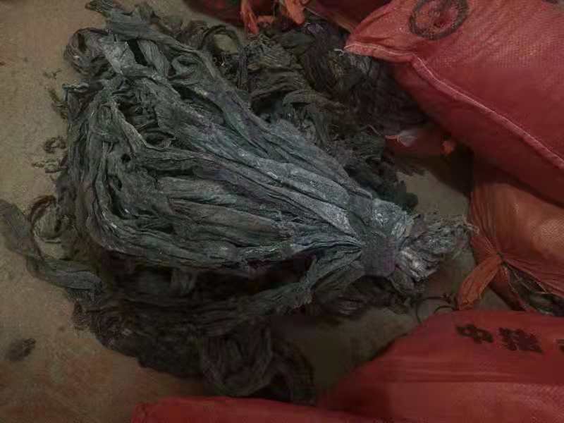 干海带实物图