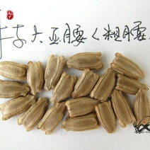新货廊文玩葫芦种子超市，在售品种150余种，支持淘宝和微