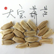 新货廊文玩葫芦种子超市，在售品种150余种，支持淘宝和微