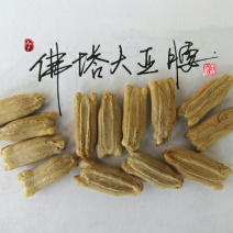 新货廊文玩葫芦种子超市，在售品种150余种，支持淘宝和微