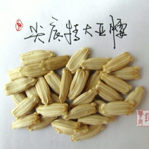 新货廊文玩葫芦种子超市，在售品种150余种，支持淘宝和微