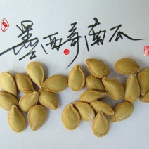 淘宝网搜索店铺：新货廊。葫芦种子150余种子支持淘宝和微