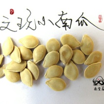 淘宝网搜索店铺：新货廊。葫芦种子150余种子支持淘宝和微