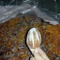 富平柿饼