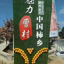 一级柿饼特级服务现货供应量大从优