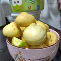 大量蔓菁出售，稀饭伴侣