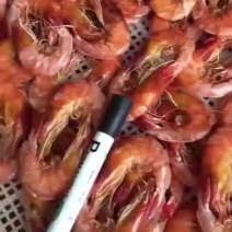 烤干虾，干对虾，特级