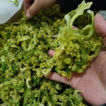 花菜干，2022年现货，新货上市，脱水蔬菜，烘干花菜