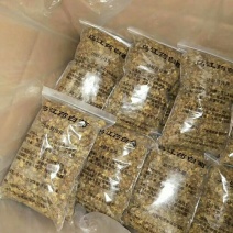乌江药白菊(贡菊)(杭白菊)