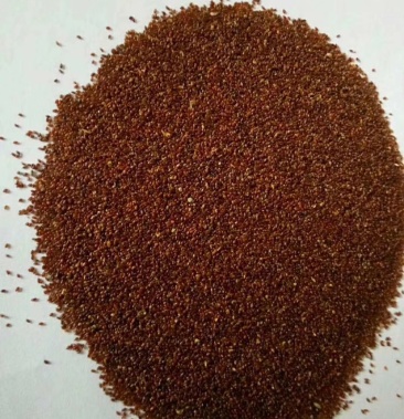 新党参种子党参中药材种苗党参中草药种籽